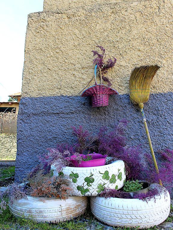 La Mia Casa Di Campagna Rovieto Exterior foto